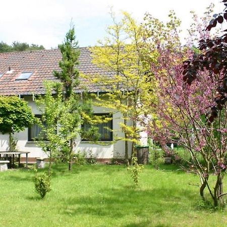 Pension Haus Zum Schlehenberg Bayreuth Dış mekan fotoğraf