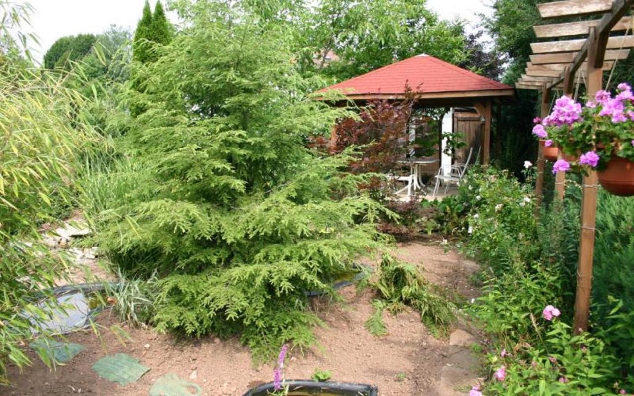 Pension Haus Zum Schlehenberg Bayreuth Dış mekan fotoğraf